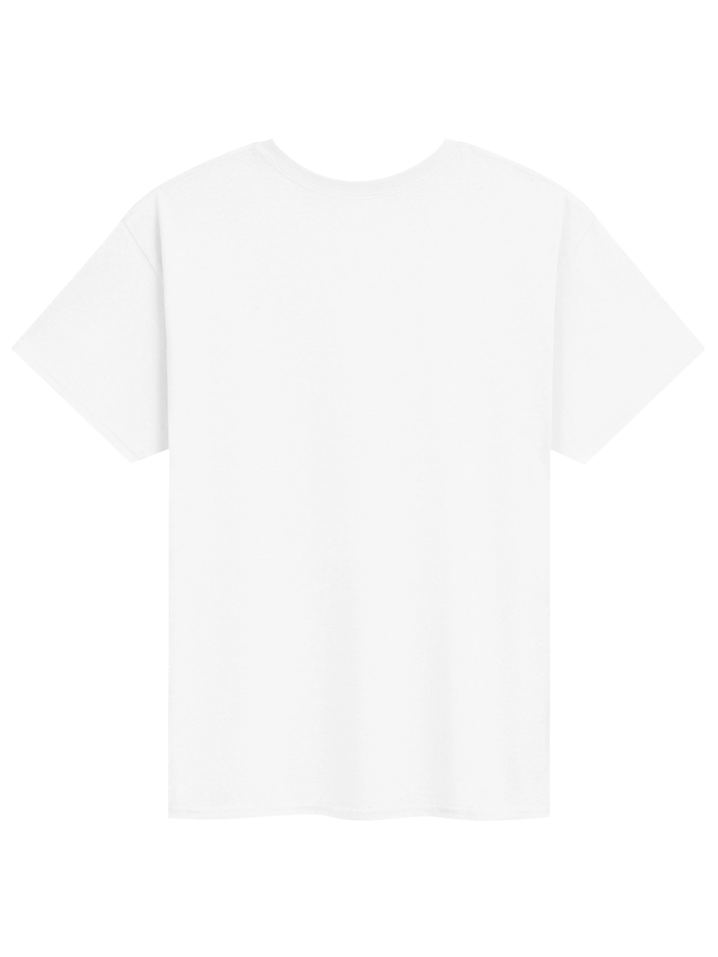 6 went missing tee