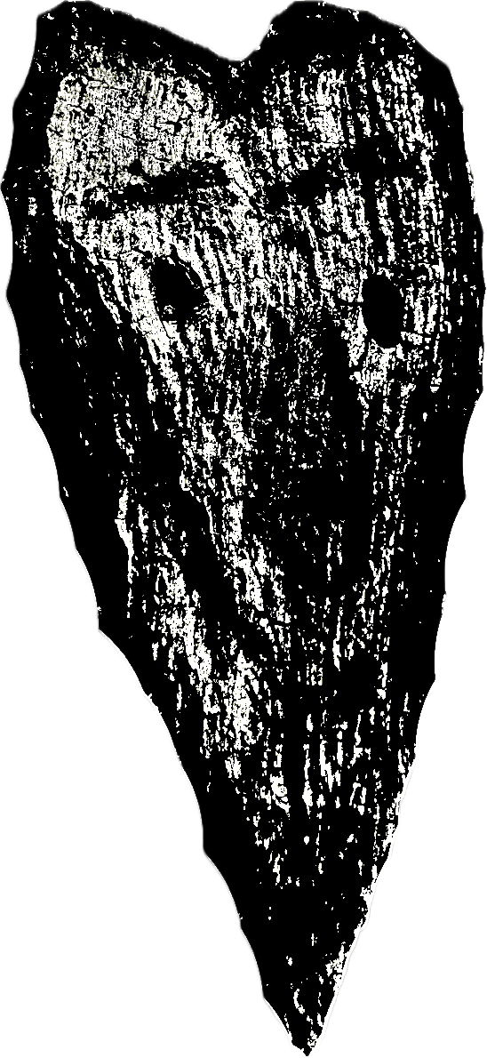 COVE GROVE OFFICIAL MERCH