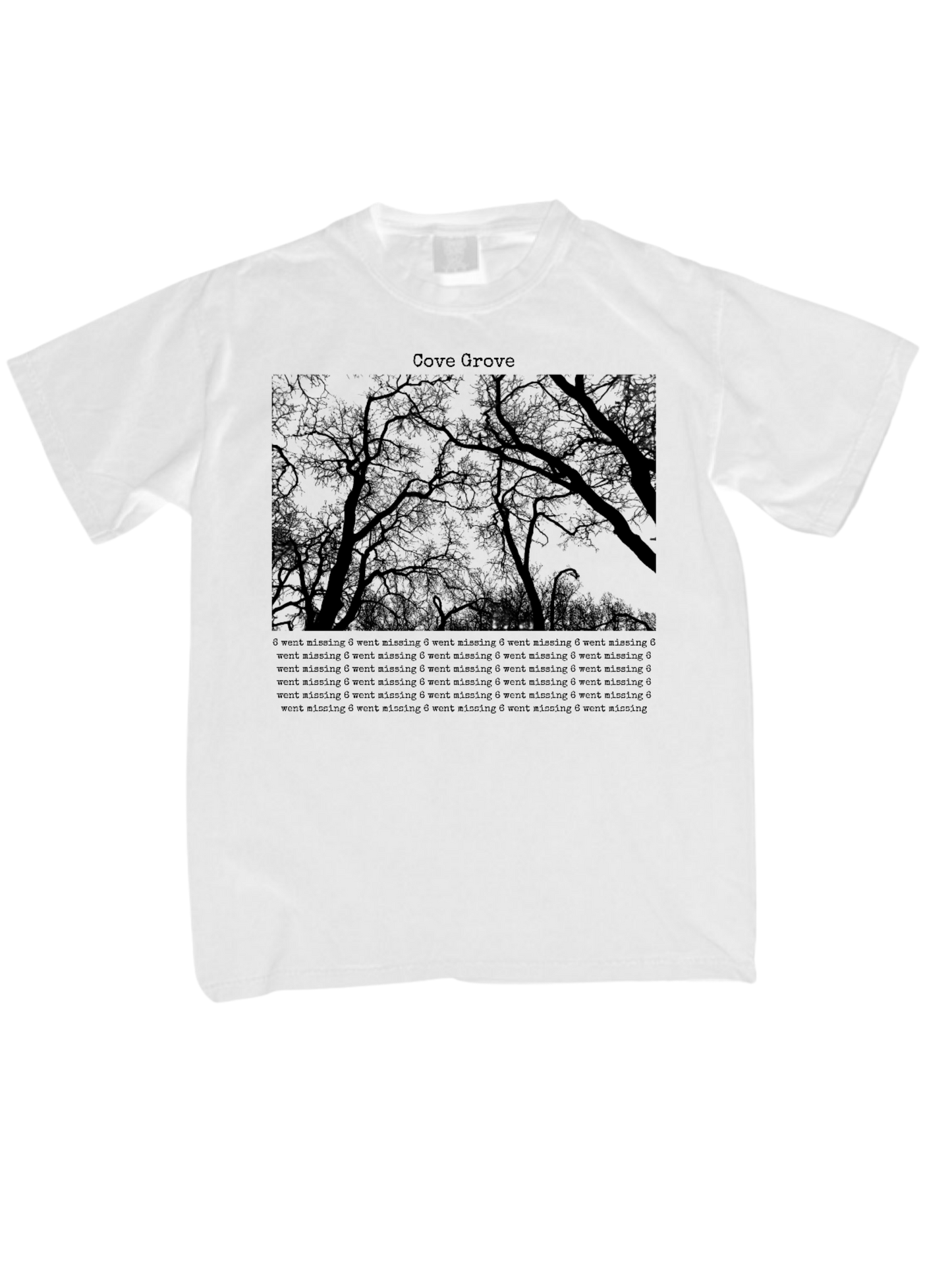 6 went missing tee